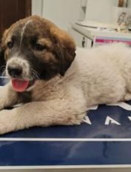 Kleiner Wonneproppen Süntje - München