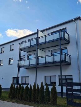 Barrierefreie 2-Zimmer-Wohnung mit Terrasse - Erdgeschoss - Friedrichshafen