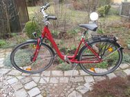 City - Damen - Markenrad ( Pegasus, Umstieg auf E-Bike ) - Germering