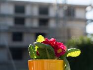 Traumhafte Penthouse-Wohnung in Meckesheim, Neubau! Erstbezug! - Meckesheim
