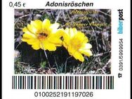 Biberpost: "Blumen: Adonisröschen", Satz, postfrisch - Brandenburg (Havel)