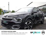 Citroen C4 PureTech 130 Shine S&S (EURO 6d) - Wilhelmshaven