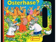 Wer ist der beste Osterhase ?,Elke Meinardus,Pestalozzi Verlag,1999 - Linnich