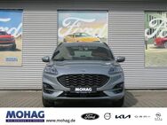 Ford Kuga, 2.0 l ST-Line EcoBlue EU6d, Jahr 2023 - Recklinghausen