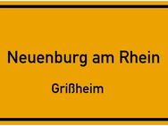 Gemütliches Holzhaus in ruhiger Ortsrandlage - Neuenburg (Rhein)