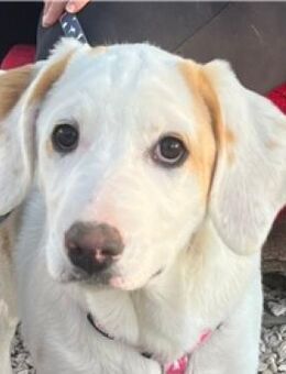 Lilly - will nur noch SCHÖNE Abenteuer - Mettmann