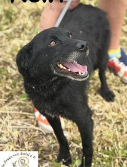 Newt Ein Partner, der dich nicht ... - Kissing