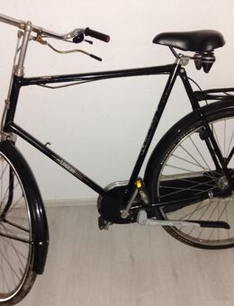 Union Holland Fahrrad 28 - Hamm