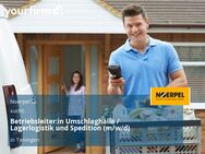 Betriebsleiter:in Umschlaghalle / Lagerlogistik und Spedition (m/w/d) - Teningen