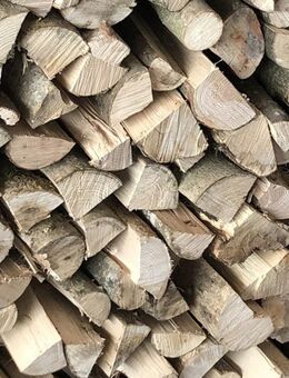 Brennholz - Buche zu verkaufen - Ichenhausen