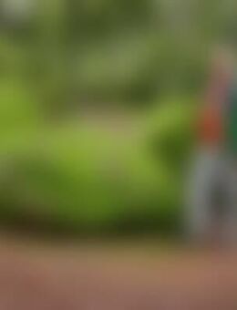 Rol*** - Bad Dürrheim