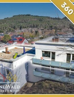 Exklusives Wohnen am Waldrand - 2-Zimmer-Wohnung mit Dachterrasse und herrlichem Blick - Fischbach (Dahn)