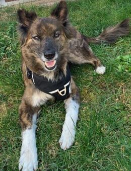 STELLA - fitte & sportliche Rentnerin 💖 - Neudenau