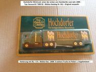 Hochdorfer Minitruck Sortiment - 4 Stück- Original verpackt- lesen-schauen- - Mahlberg