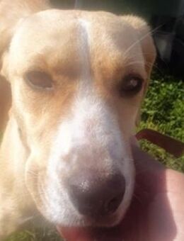 Kouki - wo darf ich ankommen? - Mettmann