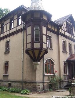 Helle 2-Raumwohnung mit Kamin und Gartennutzung - Radeberg