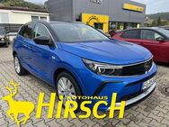 Opel Grandland 1.2 AT ULTIMATE MATRIX-LED+19+LEDER+NA - Ebermannstadt