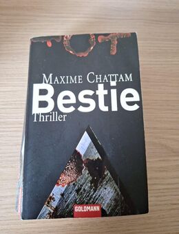 BESTIE • Thriller v. Maxime Chattam • Roman Lesen Buch Literatur Spannung - Essen