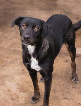 GWEN - eingewöhnen und ankommen - Overath