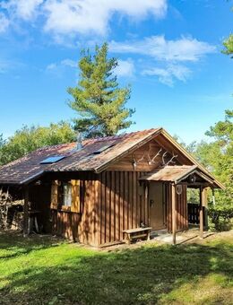 3,5 ha Land mit Jagdhütte - in der Nähe der beiden Saaletalsperren (A1619) - Remptendorf