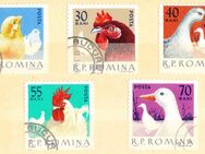 Rumänische Briefmarken Haustiere (435) - Hamburg