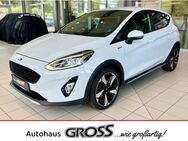 Ford Fiesta, 1.0 Active Colourline EcoBoost EU6d-T, Jahr 2018 - Amberg