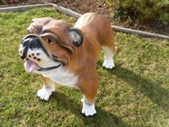 Englische Bulldogge als Dekofigur Gartendeko von dekofigurentraumxxl.de - Hergisdorf