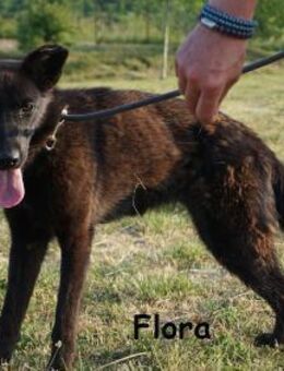 Flora ein Sonnenschein, ... - Kissing