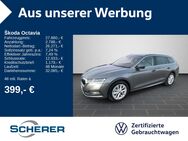 Skoda Octavia, 1.5 TSI Combi Style, Jahr 2024 - Bingen (Rhein)