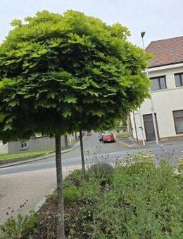 Wohn- und Geschäftshaus in 96126 Ermershausen / Haßfurt (ID 10536) - Maroldsweisach