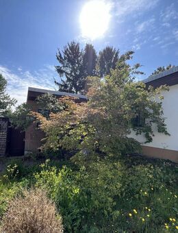 Bungalow in Mainz Lerchenberg - Mainz