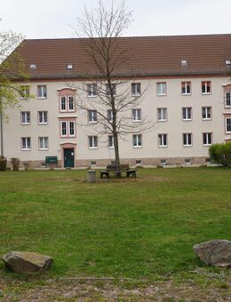 Gemütliche und helle 3-Raum Wohnung in Oelsnitz/Erzg. - Oelsnitz (Erzgebirge)