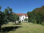 ++NATUR PUR!++EINMALIGES-SOLITÄRES WOHNENSEMBLE auf ca. 3000m² am Wald & Wasser, viel Grün & Wiesen! - Wünschendorf (Elster)