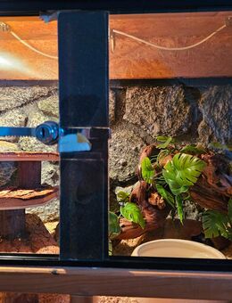 Terrarium - Schwelm
