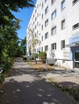 einzugsfertige renovierte 3 Zimmer Wohnung! - Brandenburg (Havel)