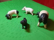 Schleich 3 Schweine, 1 Hund - Bernau (Berlin)