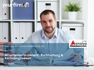 Mitarbeiter/in (m/w/d) Buchhaltung & Rechnungswesen - Berlin