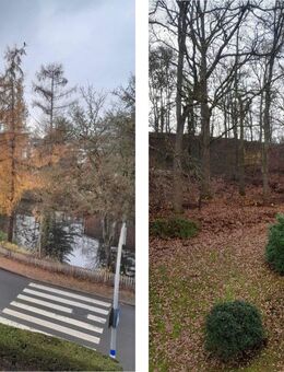 ** Eigentumswohnung ** Toller Blick vom Balkon ** Siegen-Geisweid ** - Siegen (Universitätsstadt)