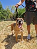 Yuma möchte auch eine eigene Familie in 54636