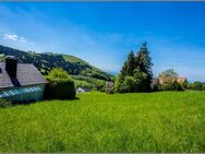 Selten und wunderschön! Baugrundstück in Südhanglage mit Fernblick. - Sasbachwalden