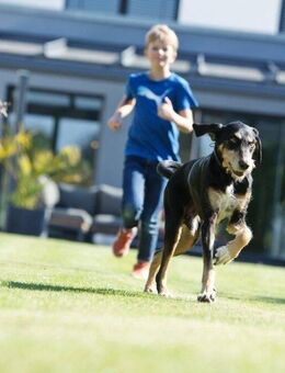 Bien-Zenker: Ihr Traumhaus in Oschersleben (Bode) wartet auf Sie! - Oschersleben (Bode)