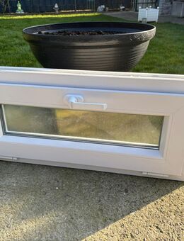 Fenster Keller Schüco Glas satin - Gladbeck