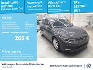 VW Golf, 2.0 TDI VIII Move Gar 2029, Jahr 2024 - Mannheim