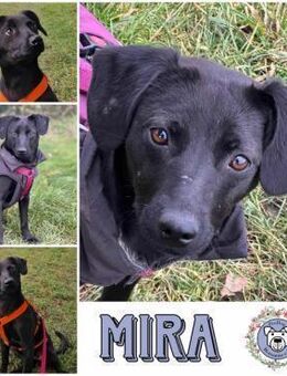 MIRA * zartes freundliches Mädchen - Duisburg