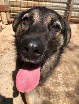 Sani - Marienkäferchen - Obertshausen