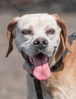 Teide - ein toller Kerl! - Bochum