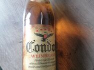 Weinbrand Condor 38% ungeöffnet - Korbach (Hansestadt)