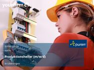 Produktionshelfer (m/w/d) - Überlingen