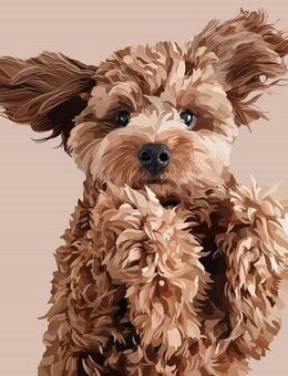 Familienhund gesucht! - Duisburg