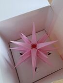 *NEU* Herrnhuter Stern Sonderedition 2021 A1e rosa in 04746